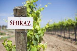 About Shiraz Wine