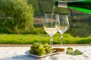 About Riesling Wine