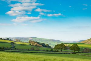 Derby museum gallery- a long shot of a countryside