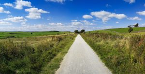 High Peak Trail